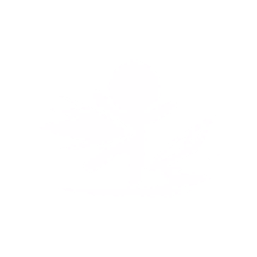 Common_Potential_4_A